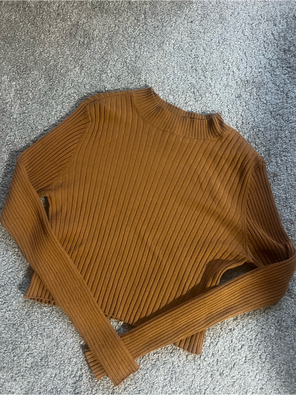 Garage Ribbed Mock Neck Cropped Sweater - Rust Burnt Orange